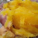 호꿀이네 이미지