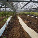 샤인하우스 가동 이미지