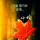 꽃과생활 이미지