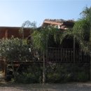 황금룡빅버거 이미지