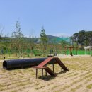 애견운동공원 이미지