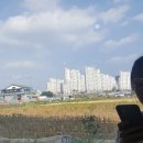 정을담다 이미지