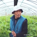 세도농장 이미지