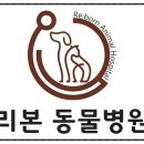 리본동물병원 이미지