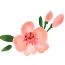 버블스튜디오 이미지