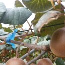 갈마농장 이미지