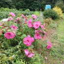 기봉농장 이미지