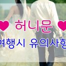 한성여행사 이미지