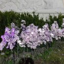 의병광장 이미지