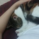 꼬맹이그루밍 이미지