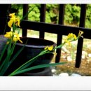 황실펜션 이미지