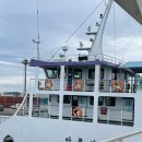 가시머뭄 이미지