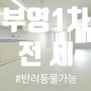 부영베스트공인중개사사무소 이미지