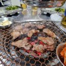 진목살참숯돼지 이미지