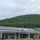로미뮤직하우스 | 제주 로미뮤직하우스 LP바 후기｜원격 웨이팅 방법·이용 팁 총정리