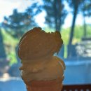 풀꽃세상채식뷔페 | 전주 평화동 채식뷔페 풀꽃세상 내돈내산 후기 (주차, 가격, 메뉴소개)