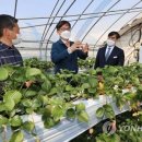 가람뫼농장 이미지