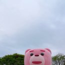 경남 의령 가볼만한곳, 끝내주는 리치리치 페스티벌 10월 축제 후기!