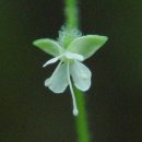 수주초등학교 이미지