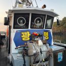 후크선장과 바다낚시 | 제주도 배낚시 체험 광명호 너무 재밌었던 이색 데이트 코스!