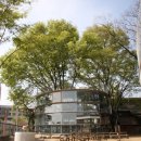 느티나무유치원 이미지