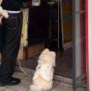[삼전/석촌고분] 석촌호수 가는 길, 줄 서는 호떡집 “수수한 캐리 점순이 호떡” 솔직후기