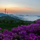 치열목장 이미지