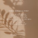 마리스토리