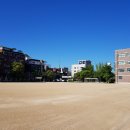 공연초교 이미지