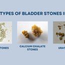 박물관옆동물병원 이미지