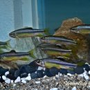 물가펜션 이미지