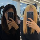 지금당 | 건대 미용실 지금헤어 지아쌤 백금발 탈색 후기