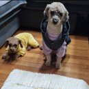 주식회사리한