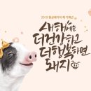 행정사합동사무소 더나은 이미지