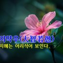 대지약우(大智若愚) – 큰 지혜는 어리석어 보인다. 이미지