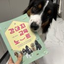 김양수 | 대형견 강아지 입양 후 올바른 교육 훈련에 도움이 되었던 책 후기