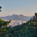 행정사 사무소 래인 이미지