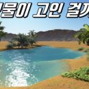 사막의오아시스 이미지