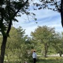 참새둥지야영장 이미지