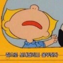 요크리딩