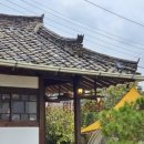 진주-금산-비상-26 | [4월 일상 기록_#01] 진주 무량원, 이늘카페, 페퍼그라인더, 르뱅하우스 솔직 후기