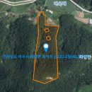 곰솔부동산공인중개사사무소 이미지