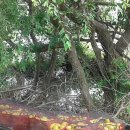 선비골농장 이미지