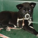 완월동225 이미지