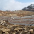 주식회사 상화 | 식생축조블럭, 내구성과 미관을 동시에 만족시키는 토목공사 필수 아이템