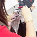 수피아헤어 이미지