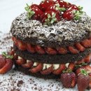 국제 VISA 행정사 이미지