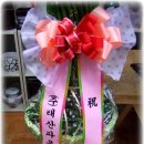 고령꽃집 이미지