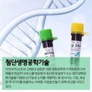 (주)다인무역 이미지