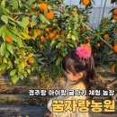 한창농장 | 경주 아이랑 귤 따기 체험 농장 꿈자람농원